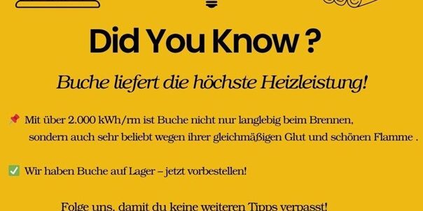 Beitragsbild zu: Buche besitzt die höchste Heizleistung!